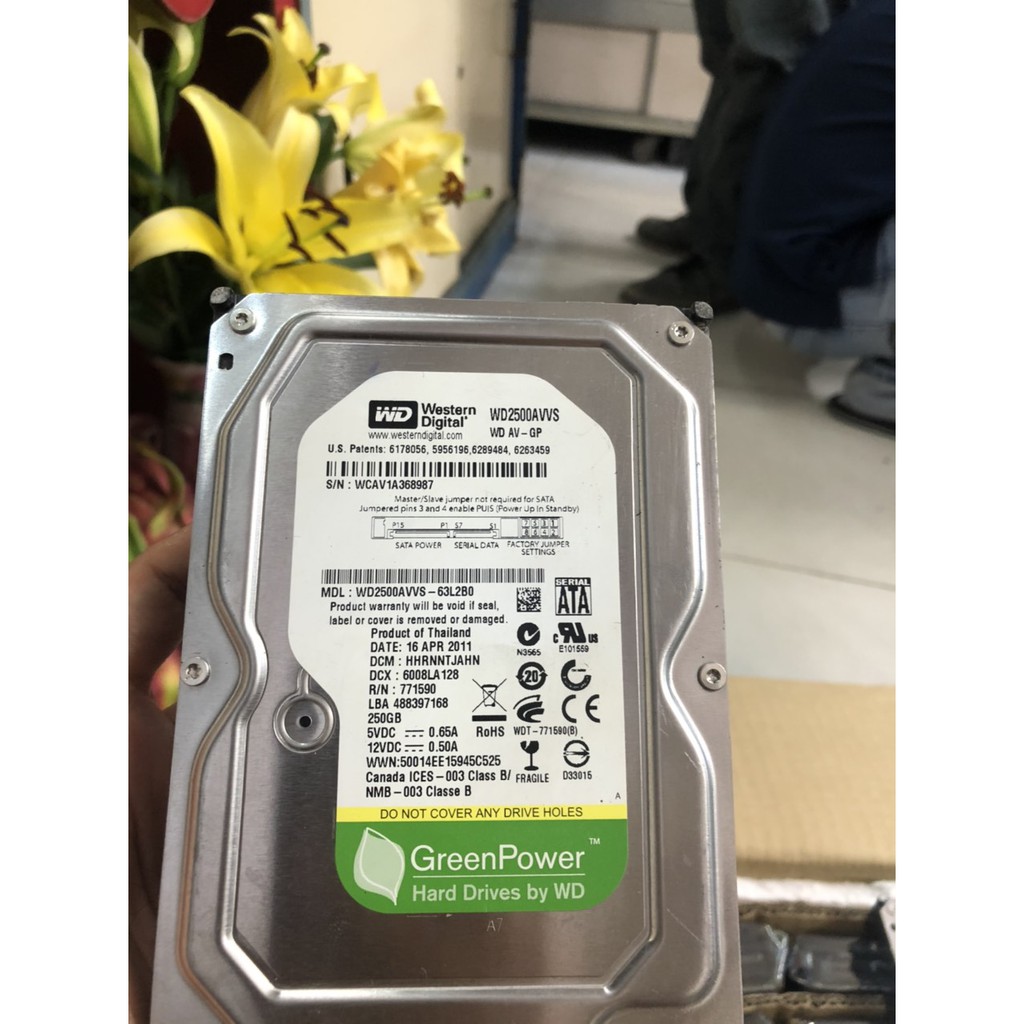 Ổ cứng HDD WESTERN  160GB/ 250GB/ 320GB/ 500GB (Hàng Tháo Máy Bộ- mới trên 90%) - Bảo hành 12 tháng 1 đổi 1 | BigBuy360 - bigbuy360.vn