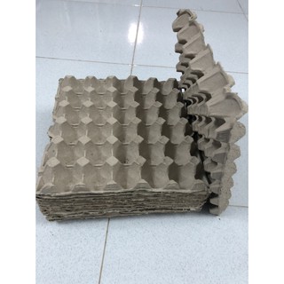 Vĩ giấy trứng gà