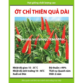 Hạt giống ỚT CHỈ THIÊN F1 quả dài 5-6cm rất cay - Gói 20 hạt