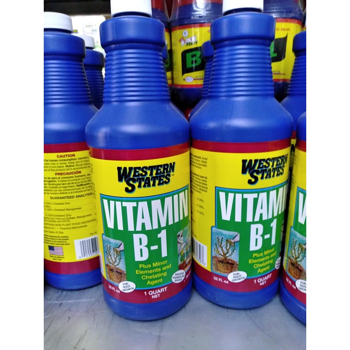 Vitamin B1 mỹ hàng nhập 950ml_Phân bón lá cho Lan, hồng, hoa cây cảnh, rau màu