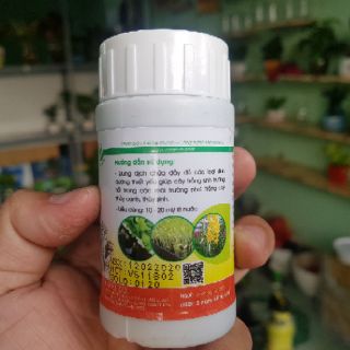 Dung dịch thủy canh Bio life