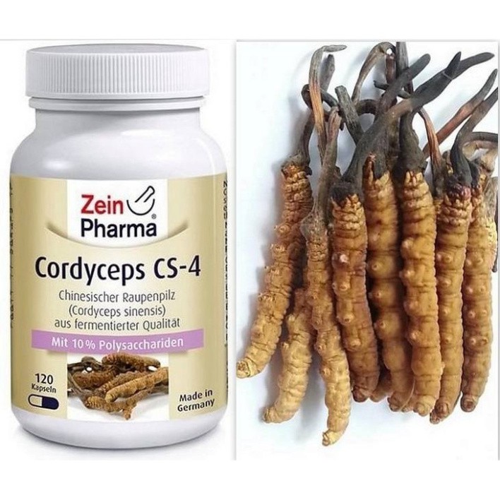 Viên Uống Đông Trùng Hạ Thảo - ZeinPharma Cordyceps CS4 500mg 120 Viên, Cường Dương Bổ Khí, Bồi Bổ Cơ Thể