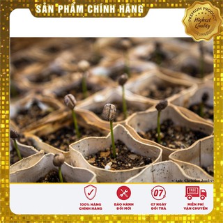 Dung dịch kích mầm ATONIK gói (10ml)