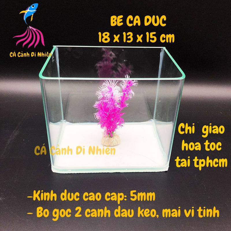 Bể kính đúc mini để bàn 2 cạnh uốn cong, hồ nuôi cá size 18x13x15 cm