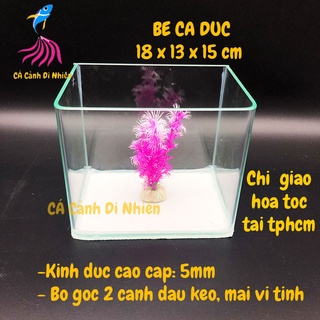 Bể kính đúc mini để bàn 2 cạnh uốn cong, hồ nuôi cá size 18x13x15 cm