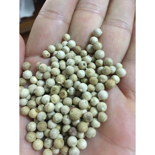Hạt Tiêu Sọ Loại 1 (gói 50g-100g)
