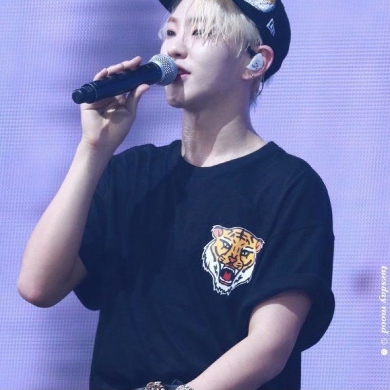 ÁO THUN SEVENTEEN KỈ NIỆM 5 NĂM DEBUT