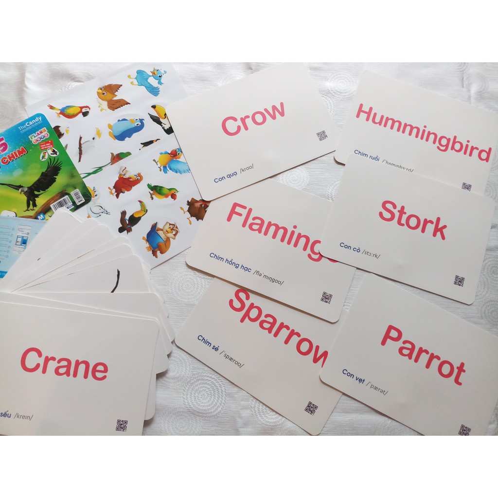 Flashcard Dạy Trẻ Theo Phương Pháp Glenn Doman - Các Loài Chim