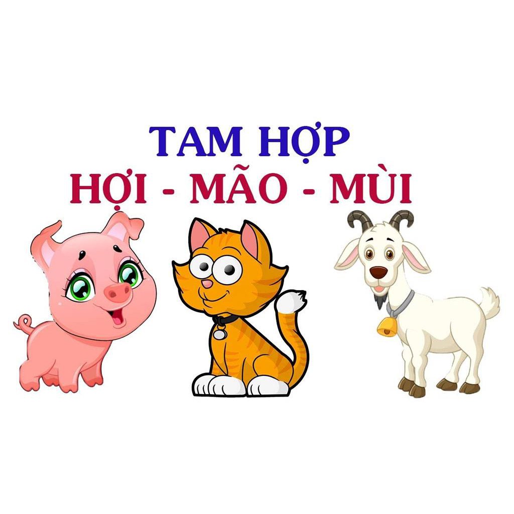 Vòng Tam Hợp Quý Nhân HỢI- MÃO- MÙI Gỗ Huyết Long