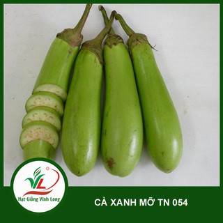 Hạt giống Cà mỡ xanh TN 054 - 1g