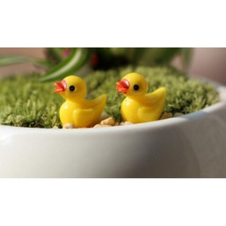 mô hình chú vịt con dùng trang trí tiểu cảnh