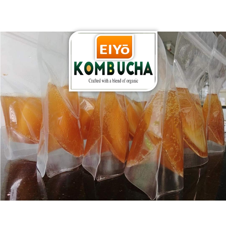 Combo SCOBY 3 món cho người mới (Gồm Con Giống SCOBY + Trà Đen + Đường Mía) chuẩn Organic Hữu Cơ làm trà Kombucha