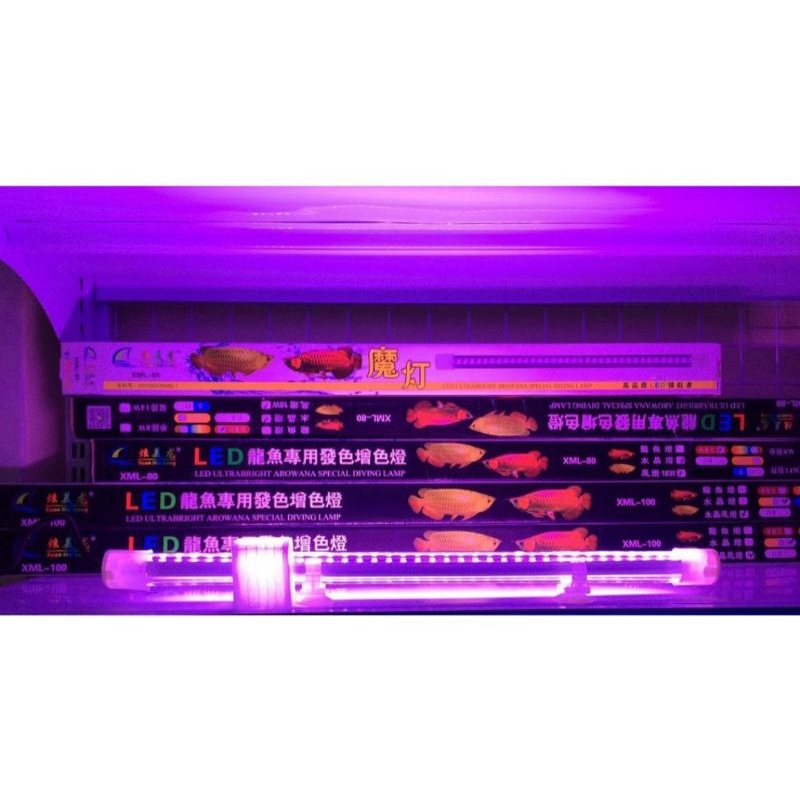 ĐÈN LED XML 2 HÀNG DÀNH CHO BỂ CÁ RỒNG (SIZE 80-150cm), CÔNG SUẤT 24w