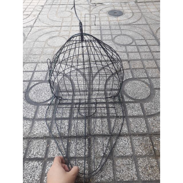 Bẫy chim cu tặng áo lồng