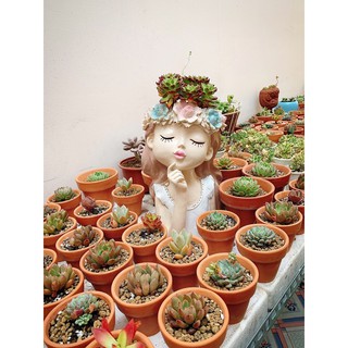 Hot Sale Bình hoa trồng cây,cắm hoa cô gái