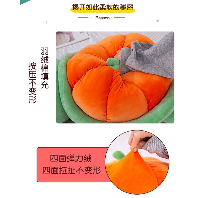 Gấu bông hình rùa kích thước 35cm siêu xinh