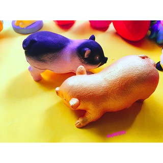  SquiShy HEO VÀNG  Wyiyi