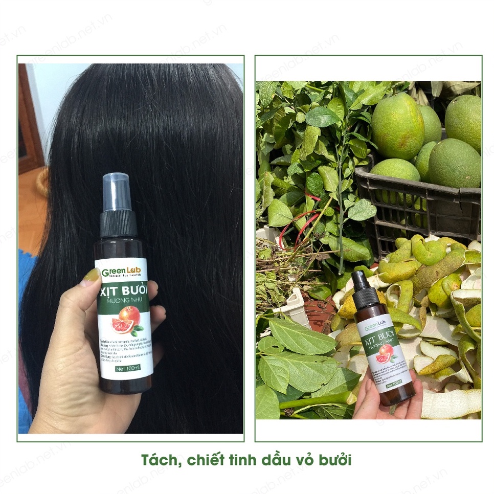 Xịt Bưởi Hương Nhu mọc tóc nhanh GreenLab 100ml
