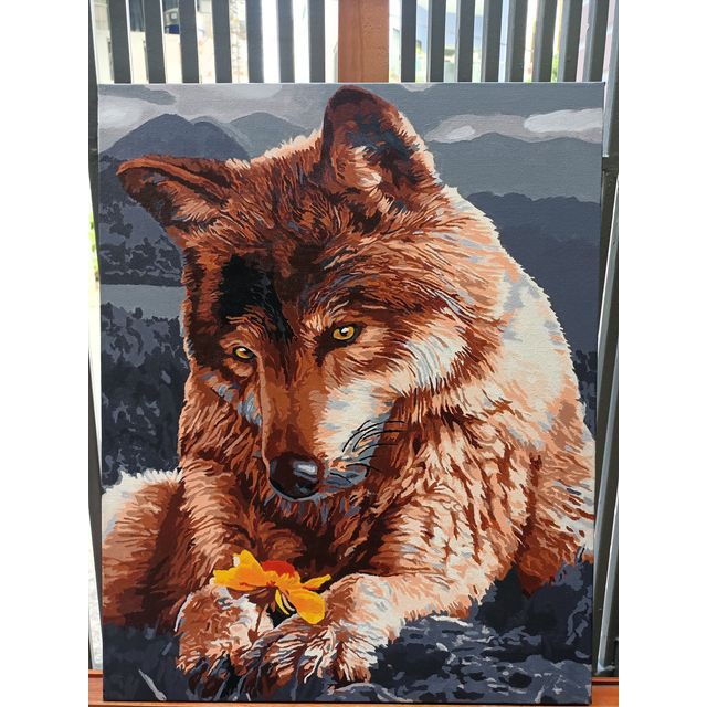 Tranh tô màu sơn dầu số hóa Tổng hợp các mẫu về Chó mèo dễ thương size 40x50cm khung dày 2.5cm đầy đủ phụ kiện, phủ bóng | WebRaoVat - webraovat.net.vn