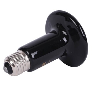 Đèn sưởi sứ cho thú cưng , bò sát 50w/100w