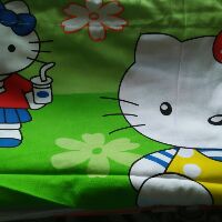 Áo gối cotton 35x50