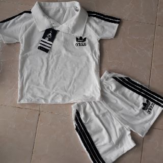 Combo Bộ cổ đức sang chảnh