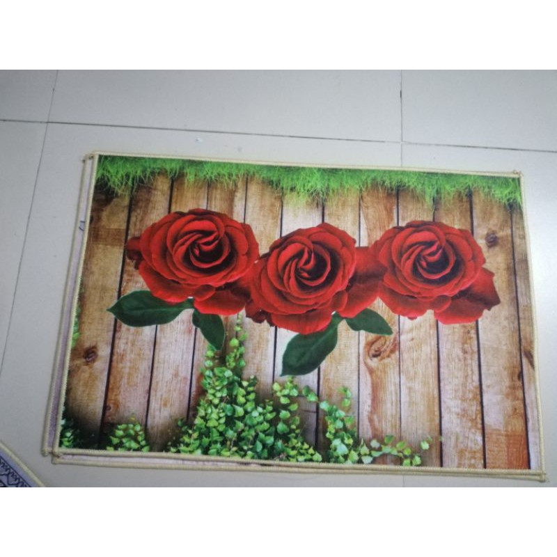 Thảm nỉ 3D siêu hót 40x60 cm