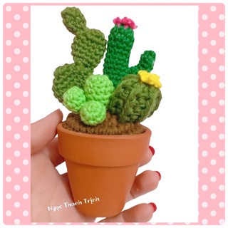 🌵 Chậu xương rồng bằng len, quà tặng handmade, chậu xương rồng decor