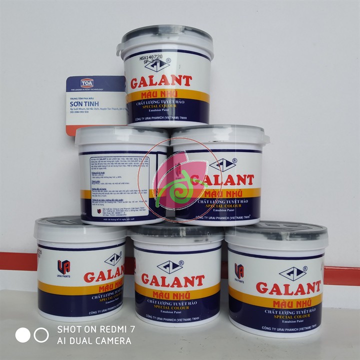 Combo 5 màu Ve màu galant , màu nhũ Galant loại 225ml