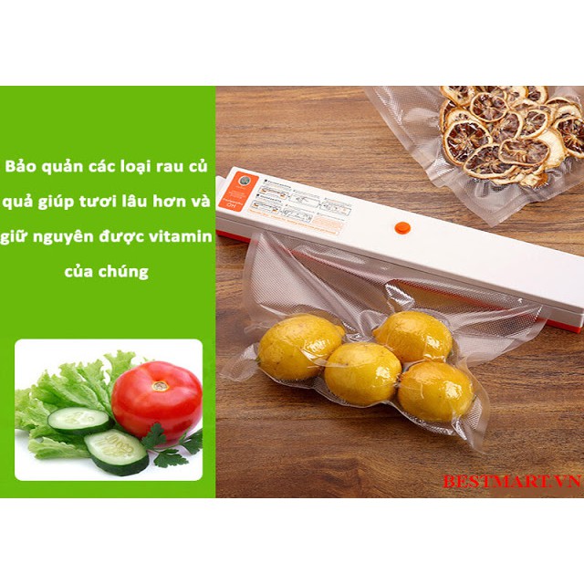 Máy hút chân không cầm tay dòng VC01 Mini Vacuum Sealer (VC01)