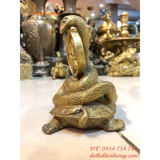 Rùa Cõng Rắn