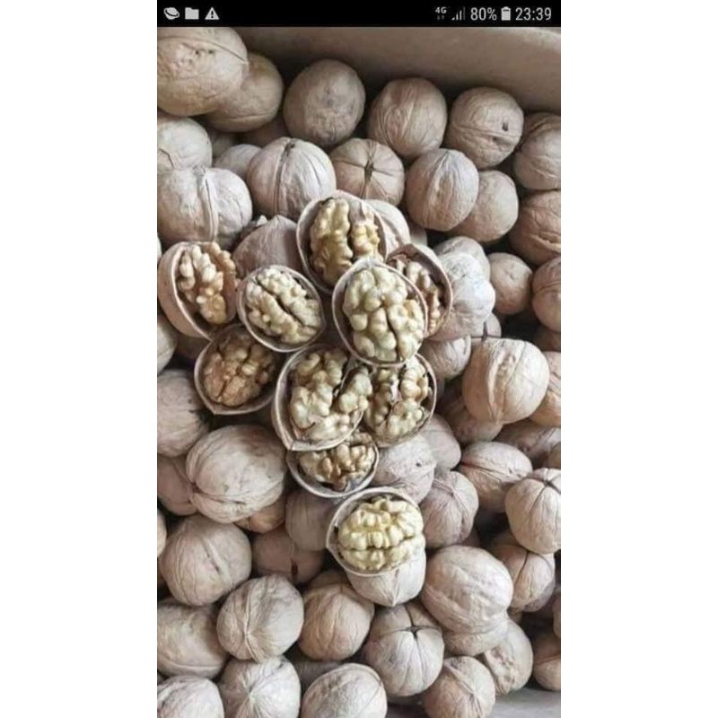 500g - 1kg quả óc chó nếp