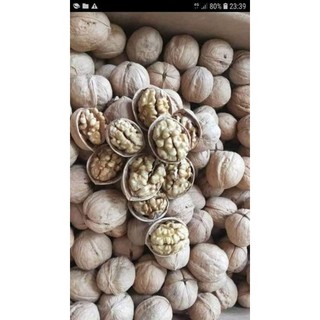 500g - 1kg quả óc chó nếp