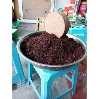 GIÁ THỂ XƠ DỪA TRỒNG RAU MẦM  CHỈ CÓ 65K
