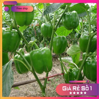 Hạt giống Ớt Ngọt F1 (0.1g)