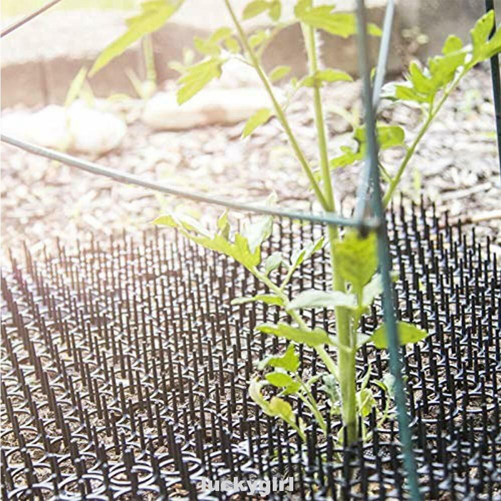 Bộ 10 thảm gai ngăn chó mèo tiến vào sân vườn chất lượng cao