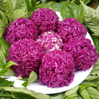 Cây lá cẩm tím, lá cẩm đỏ, lá cẩm tạo màu thực phẩm nấu xôi, chè, làm bánh