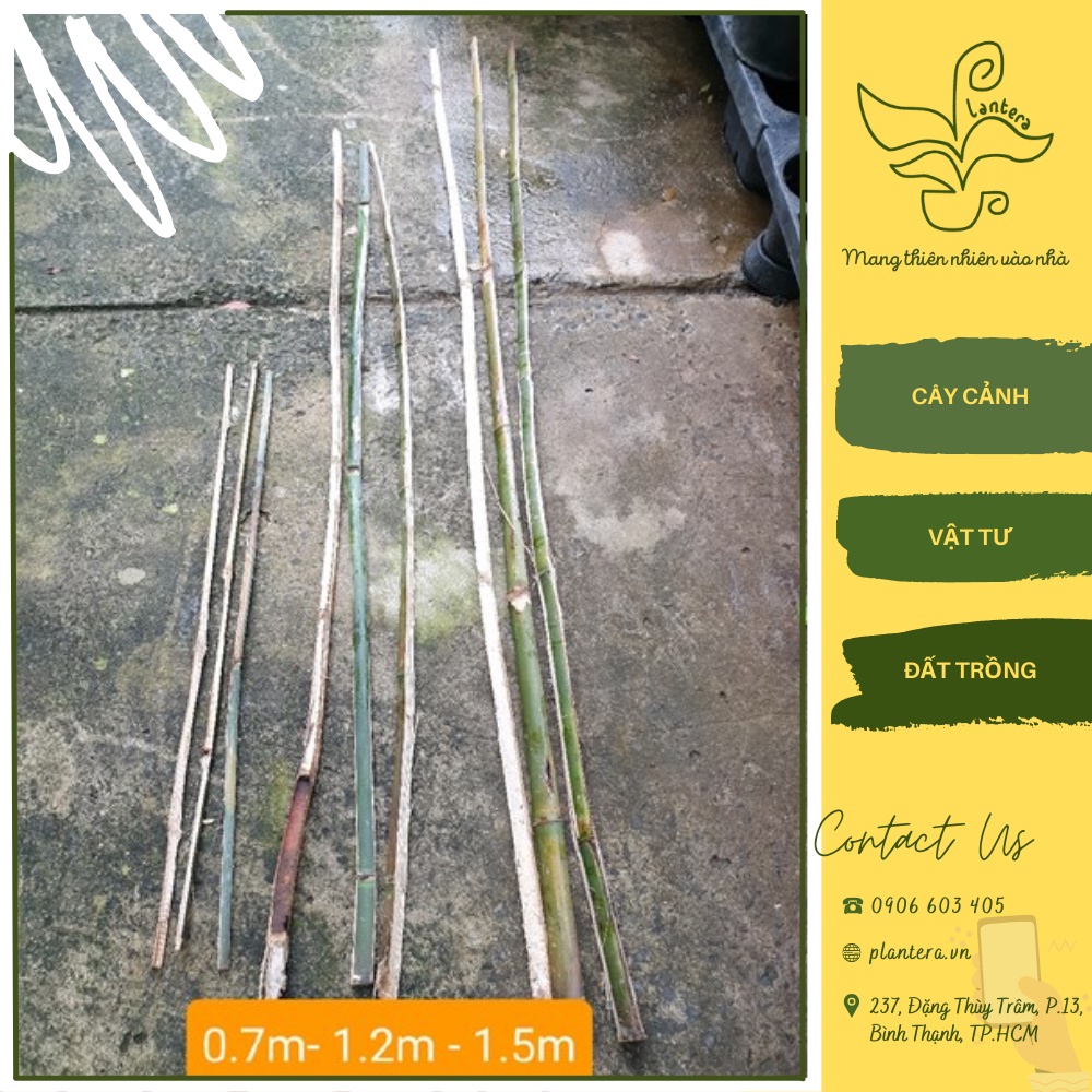 Set 10 Thanh Tre Chống Cây 70Cm - Dụng Cụ Làm Vườn - Dây Buộc, Lưới, Giàn Leo, Cây Chống
