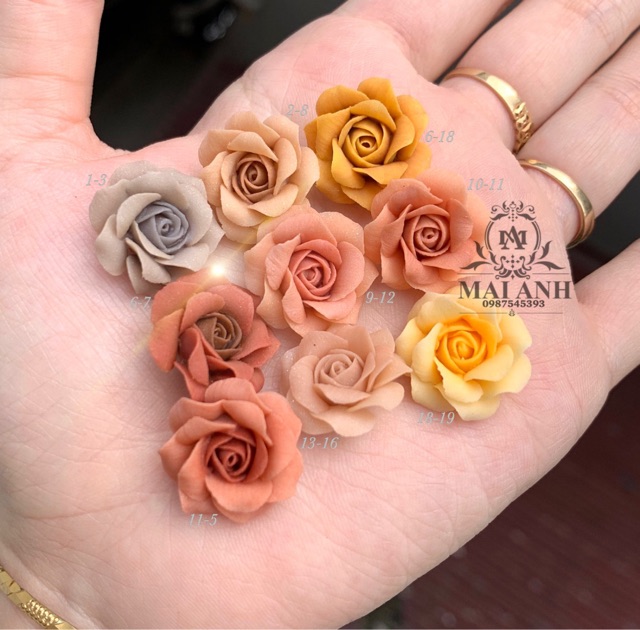 Set bột Mỹ - 12 hũ 10g được chọn màu siêu đẹp MaiAnhNails