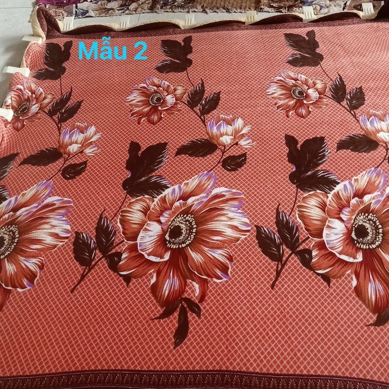 [GIÁ HỦY DIỆT] CHĂN LÔNG CỪU GIÁ CHỈ 189k | BigBuy360 - bigbuy360.vn