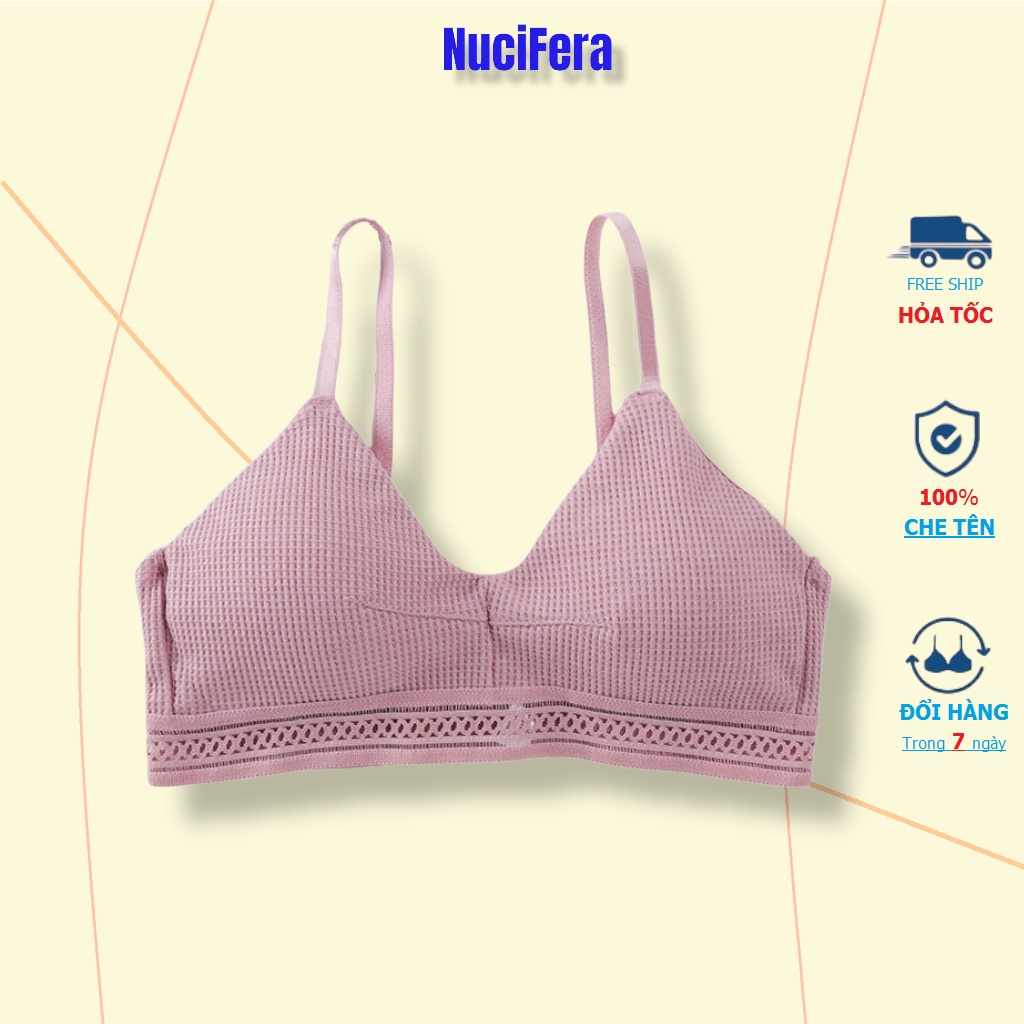 Áo Bralette cotton mềm không gọng mút mỏng cài sau có dây điều chỉnh_AL37 NuciFera