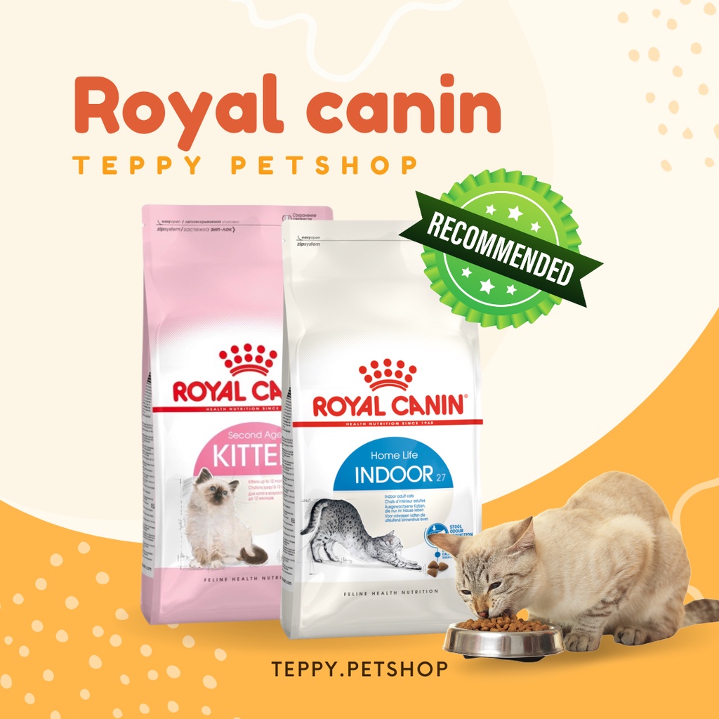 Royal Canin Kitten - Indoor thức ăn hạt cho mèo