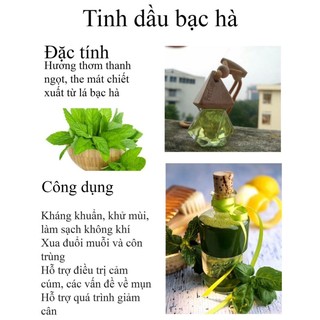 Tinh dầu bạc hà