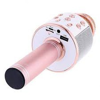 MIC HÁT KARAOKE W858