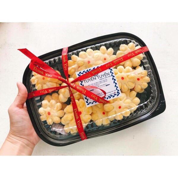 Hộp nhựa đáy đen HT203 (10 chiếc)