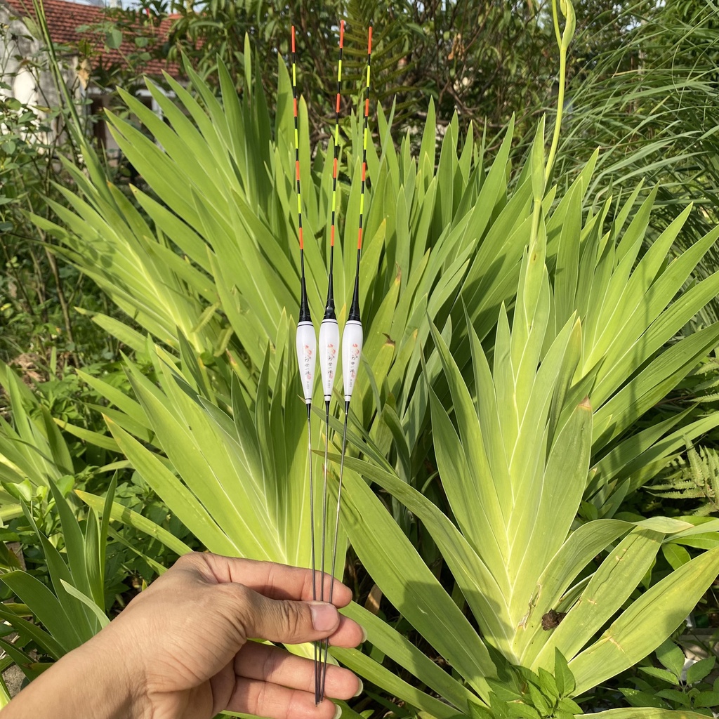 Phao câu đài ngày đêm, Phao điện câu đài Chân dài , Bầu dài , Tăm dài Chuyên Chép , Diếc , Rô