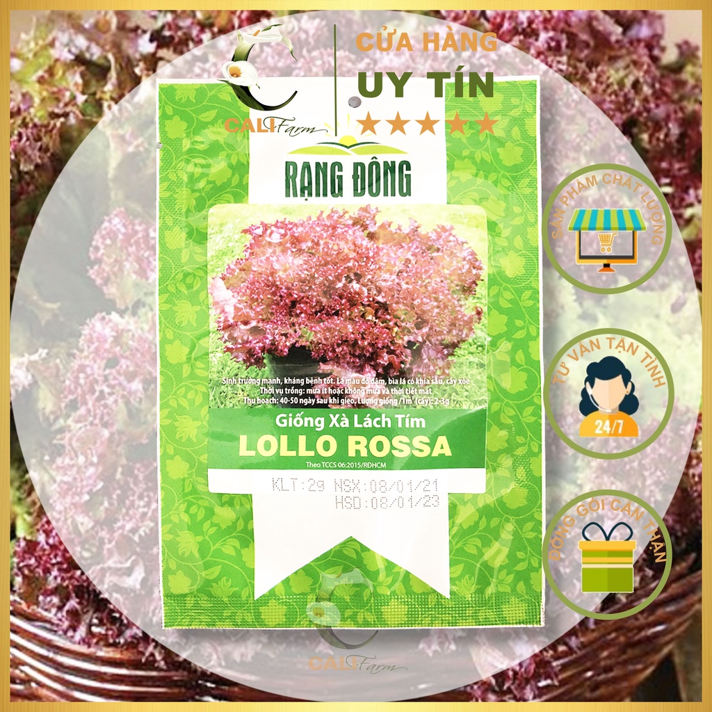 Hạt giống Rau Xà Lách Tím LOLLO ROSSA 2gr