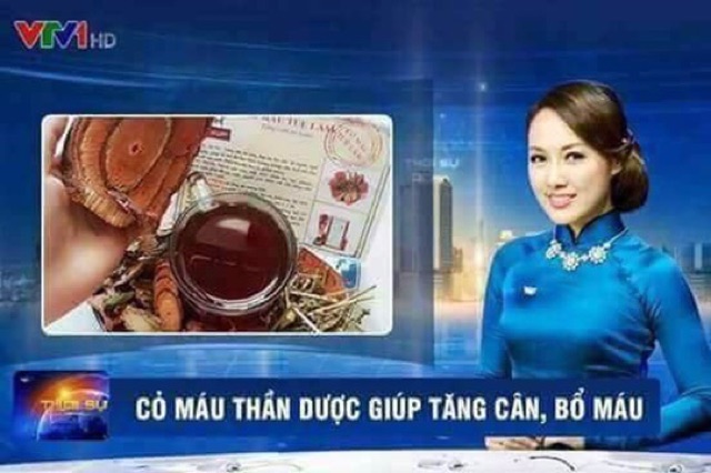 Cỏ máu tăng cân 1 kg