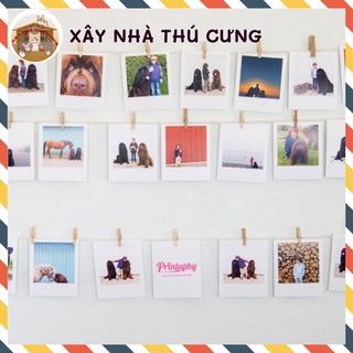 In ảnh 6x9 1k/tấm ép plastic