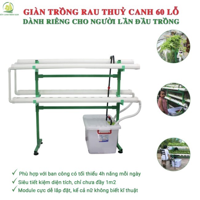 Giàn thuỷ canh thông minh cho người mới bắt đầu | 60 lỗ rau